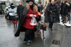 faschingszug017