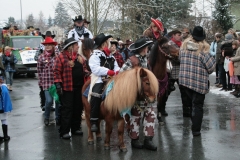 faschingszug026